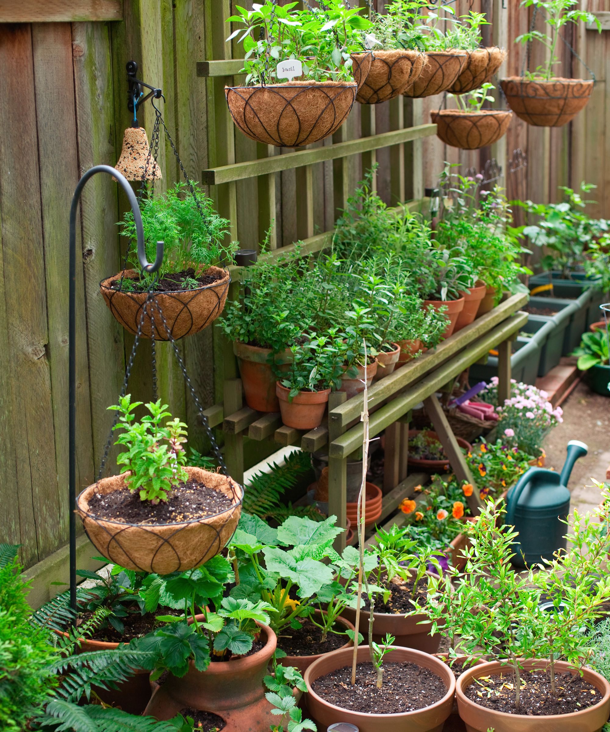 Creating a Cozy Oasis: The Beauty of a Compact Home Garden