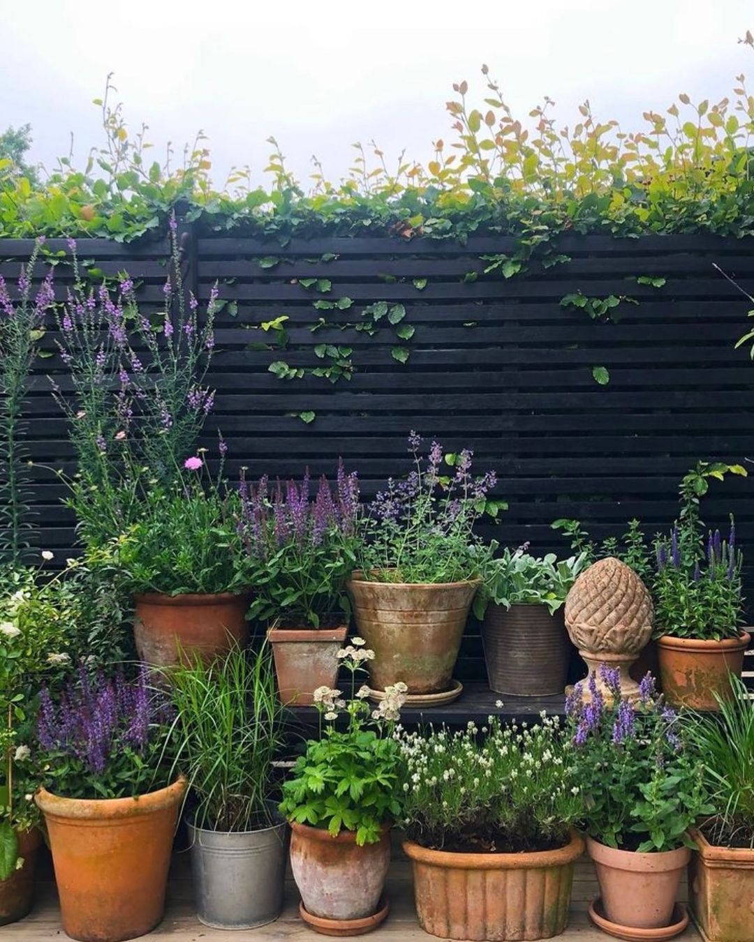 Creating a Cozy Oasis: Tips for Designing a Petite Garden