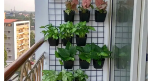 small balcony garden