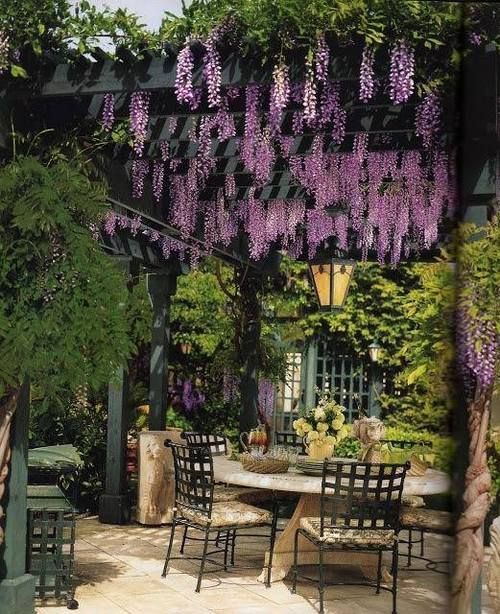 Creating a Cozy Retreat: Embracing the Beauty of a Small Garden Pergola