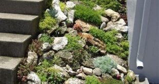 small garden rockery