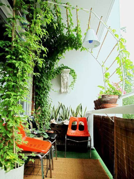 Creating a Cozy Urban Oasis: Tips for a Small Balcony Garden