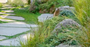 small garden rockery