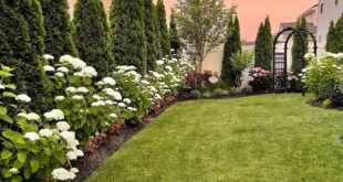 small backyard landscaping