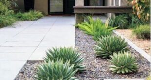 desert landscaping front yard