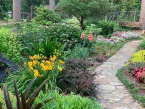 dog friendly backyard landscaping