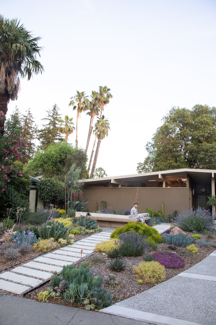 Creating a Drought-Friendly Front Yard: The Beauty of Xeriscaping