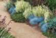 landscaping xeriscape