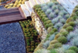 landscaping xeriscape