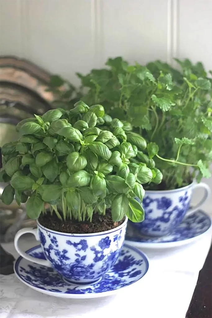 kitchen herb garden planter