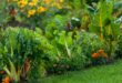 edible landscaping