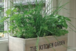 kitchen herb garden planter