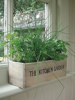 kitchen herb garden planter