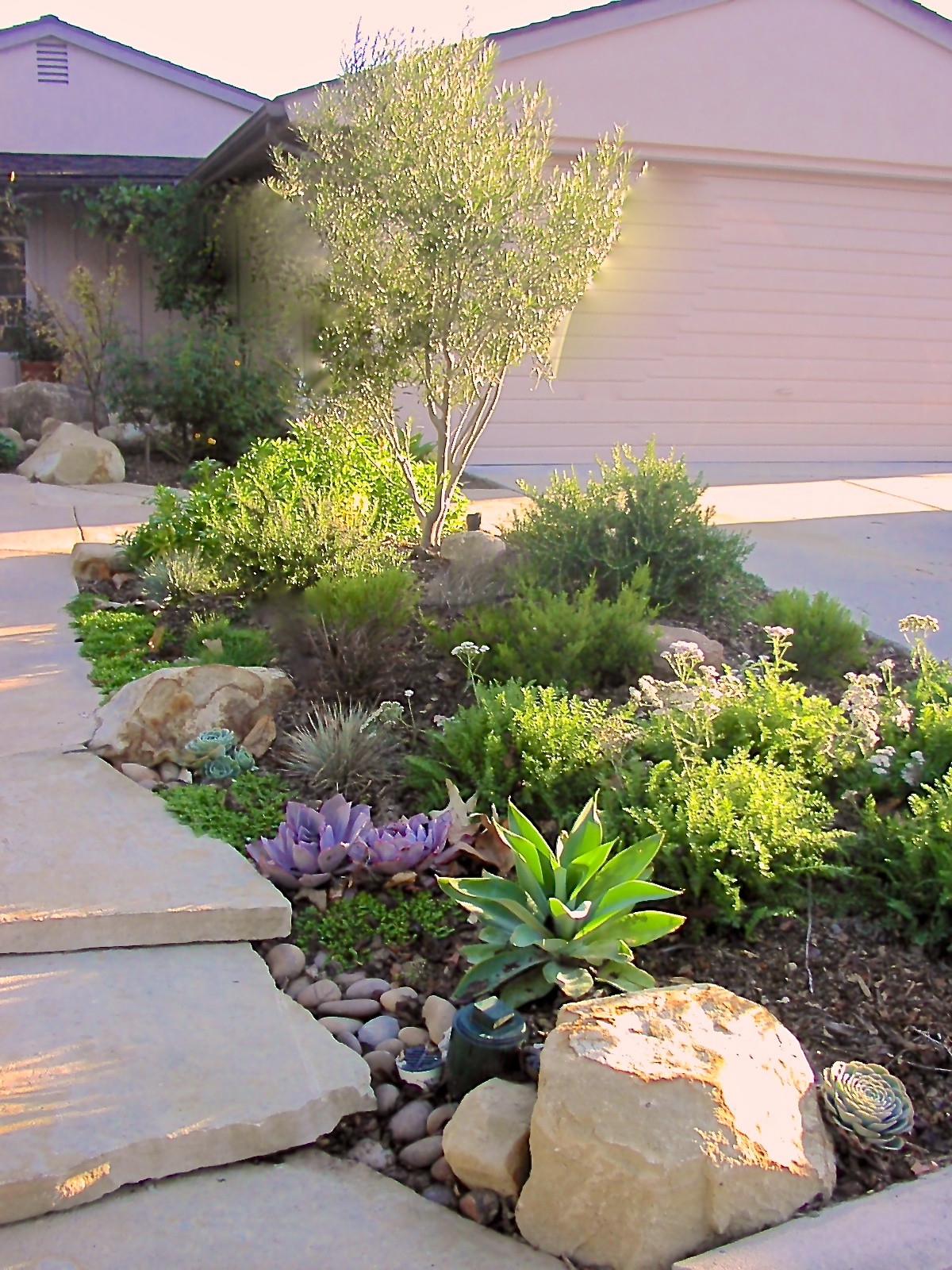 Creating a Low-Water Front Yard with Xeriscaping