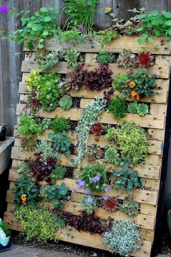 Creating a Lush Garden with Pallet Raised Beds