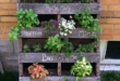 herb garden outdoor planter