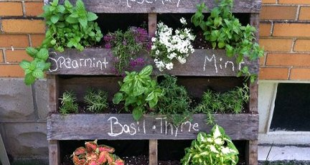 herb garden outdoor planter