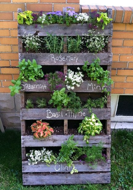 Creating a Lush Herb Garden in an Outdoor Planter