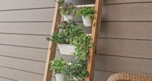 herb garden outdoor planter