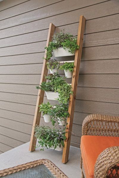 herb garden outdoor planter