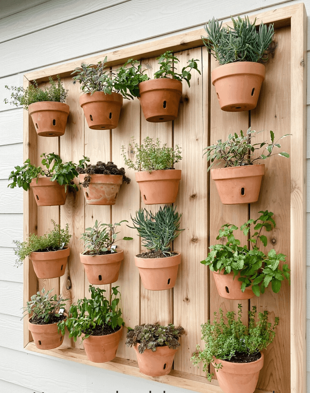 Creating a Lush Herb Garden with an Outdoor Planter