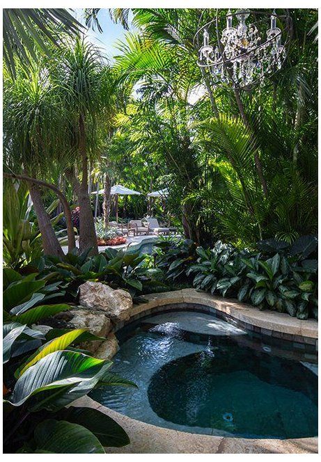 Creating a Lush Oasis: Transforming Your Pool Area with Tropical Landscaping