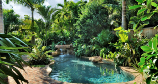 tropical pool landscaping