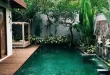 tropical pool landscaping