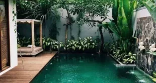 tropical pool landscaping