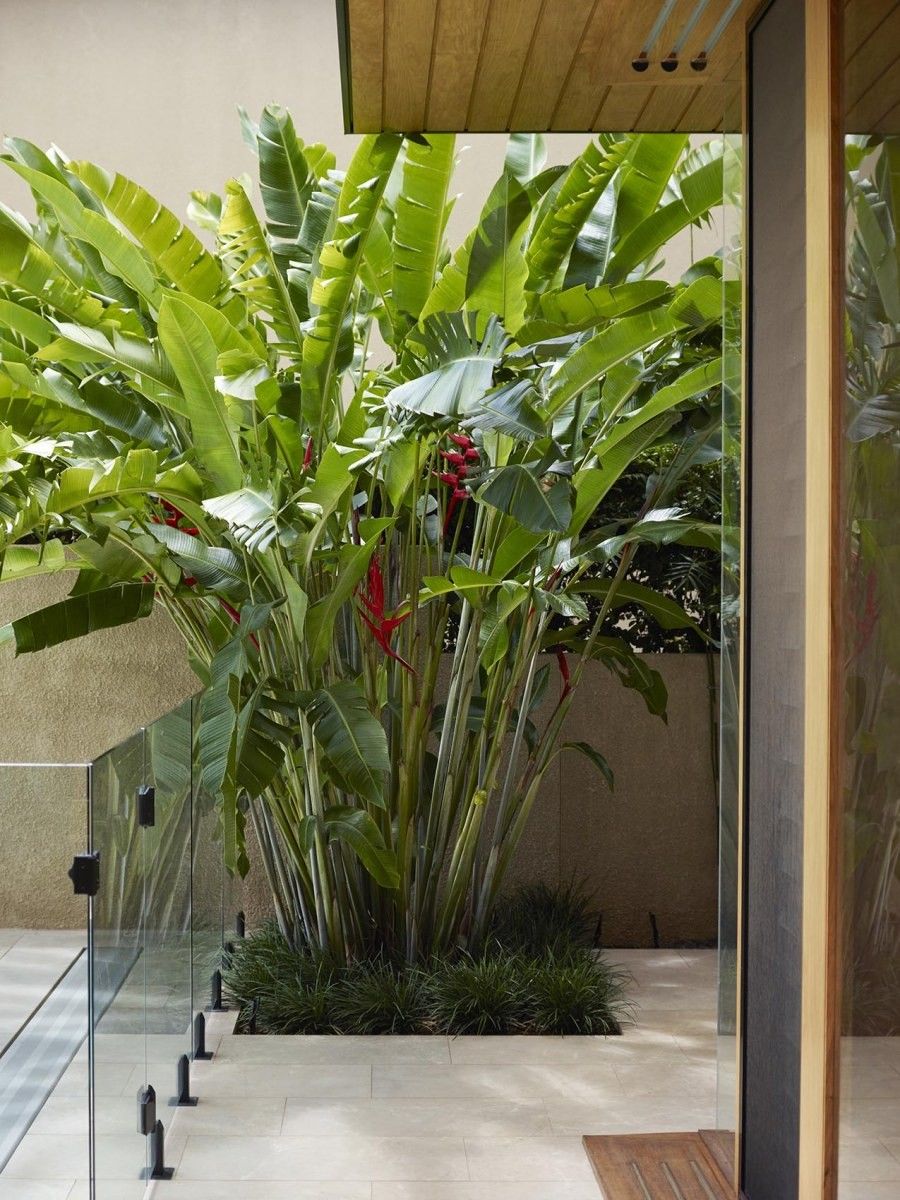 Creating a Lush Oasis: Tropical Pool Landscaping Tips for Your Outdoor Sanctuary