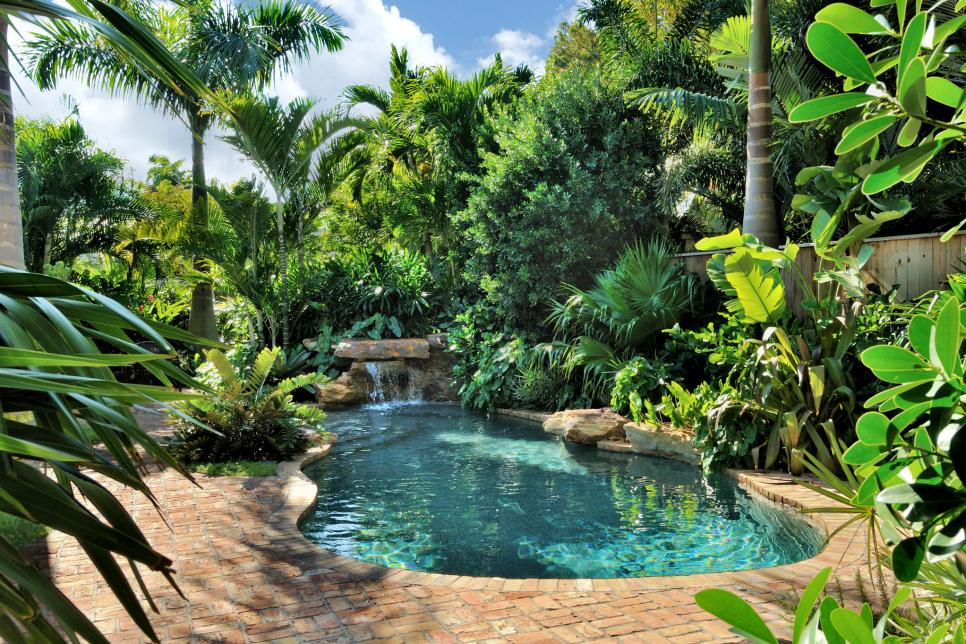 tropical pool landscaping