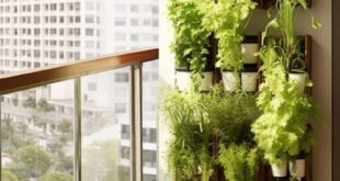 small balcony garden