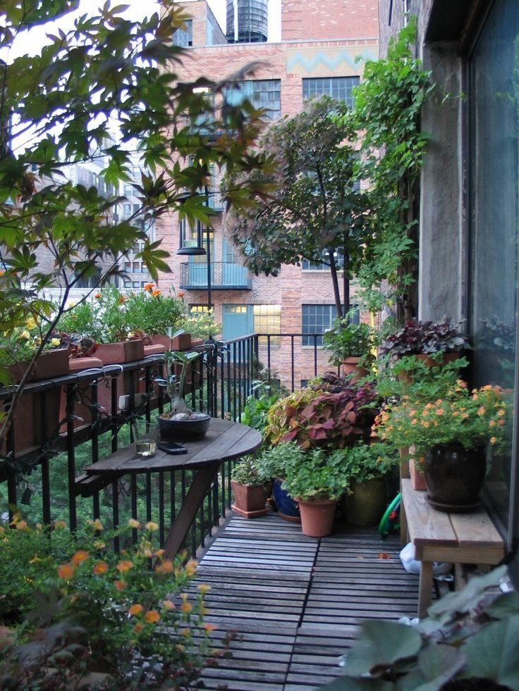 Creating a Lush Oasis on a Tiny Balcony