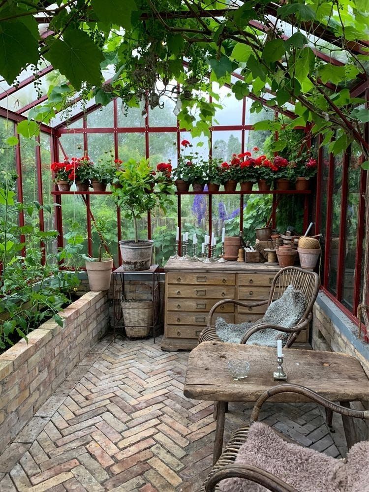 Creating a Lush Oasis with Your Own Backyard Greenhouse