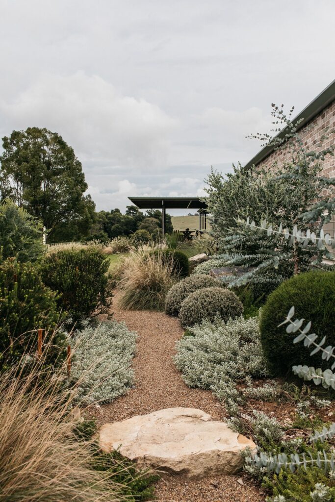 landscaping plants