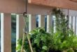 small balcony garden