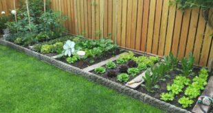 garden design vegetable