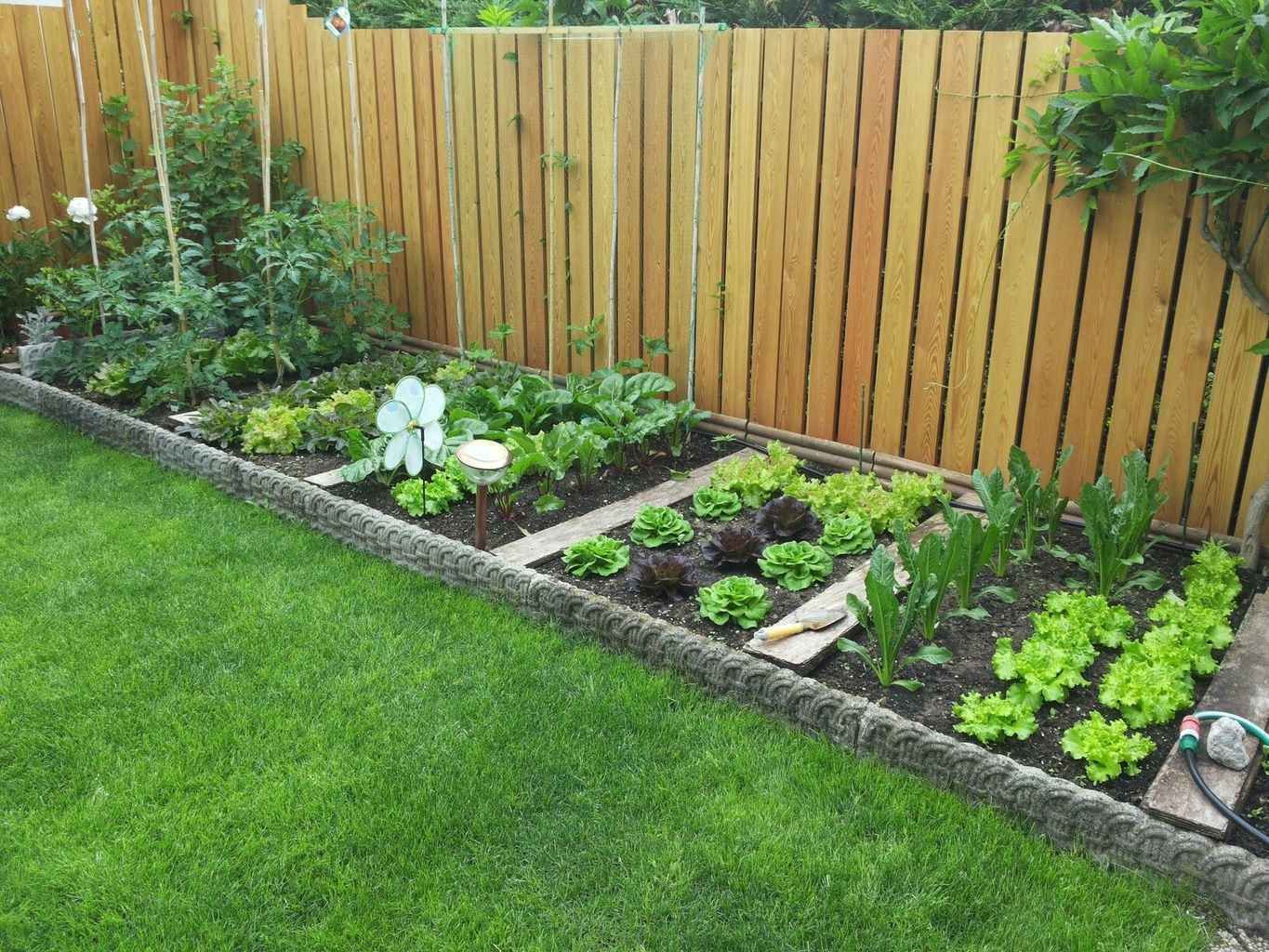 Creating a Lush Vegetable Garden Design for Your Outdoor Space