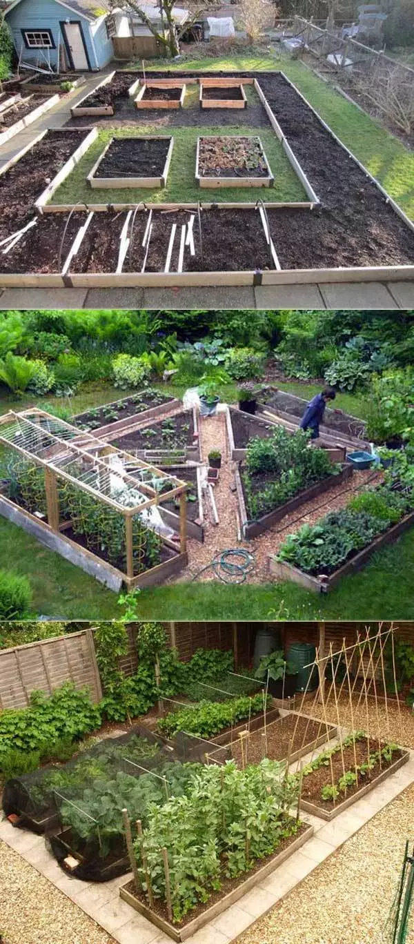 Creating a Lush Vegetable Garden with Thoughtful Design