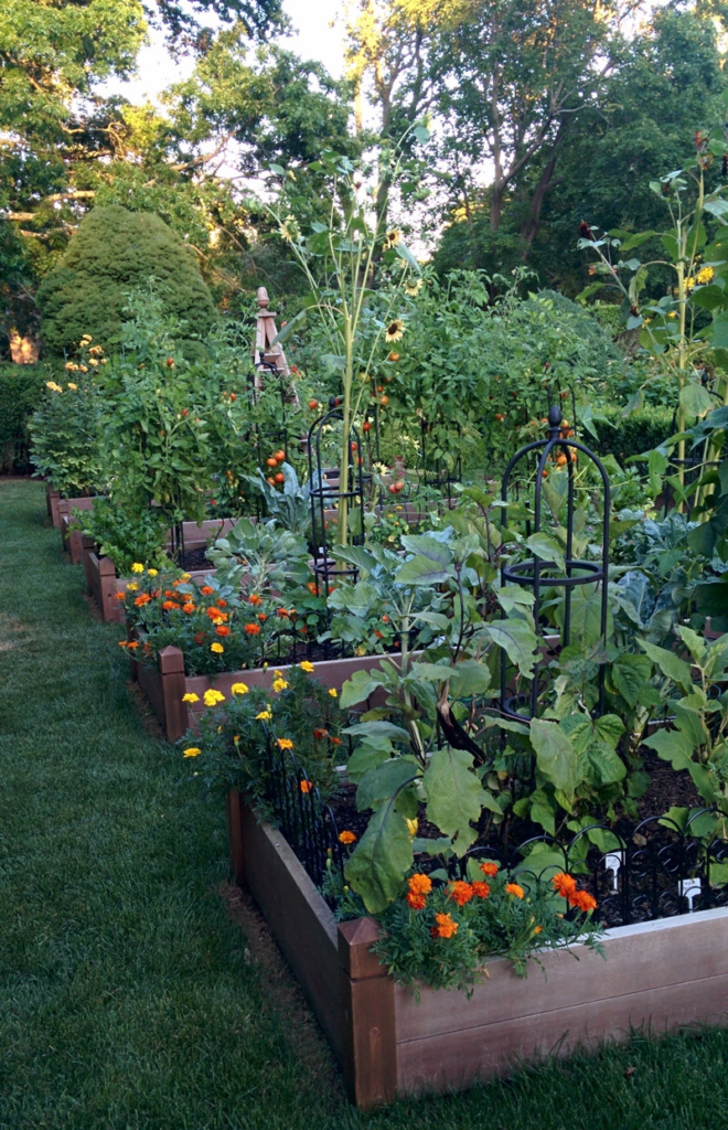 landscaping vegetable garden