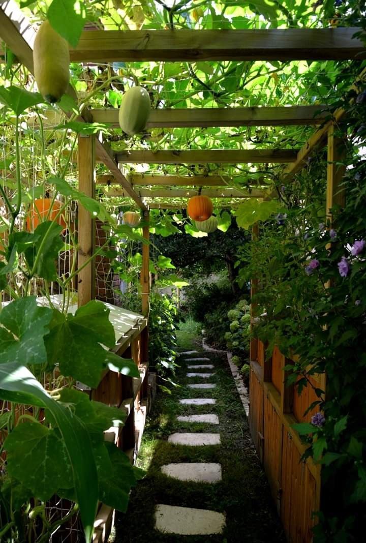 Designing a Vegetable Garden Oasis