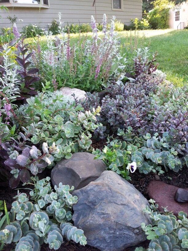 Creating a Miniature Garden Rockery for Your Outdoor Space