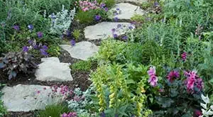 garden stepping stones