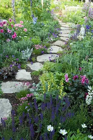 Creating a Pathway Through Your Garden: The Beauty of Stepping Stones