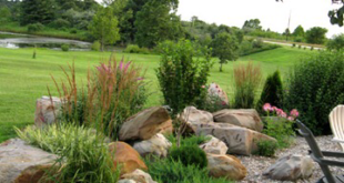 rock garden landscaping