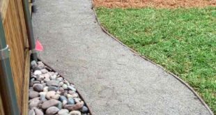 dog friendly backyard landscaping