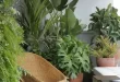 small garden at home