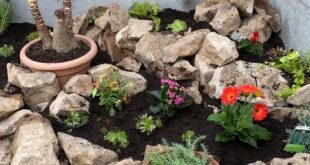 small garden rockery