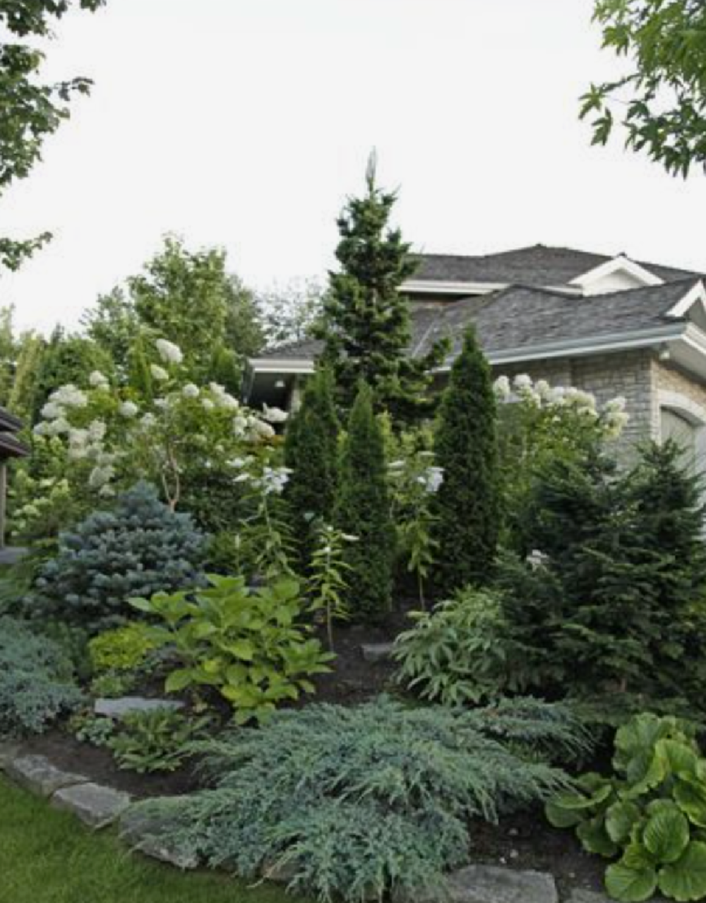 Creating a Picture-Perfect Front Yard with Stunning Landscaping