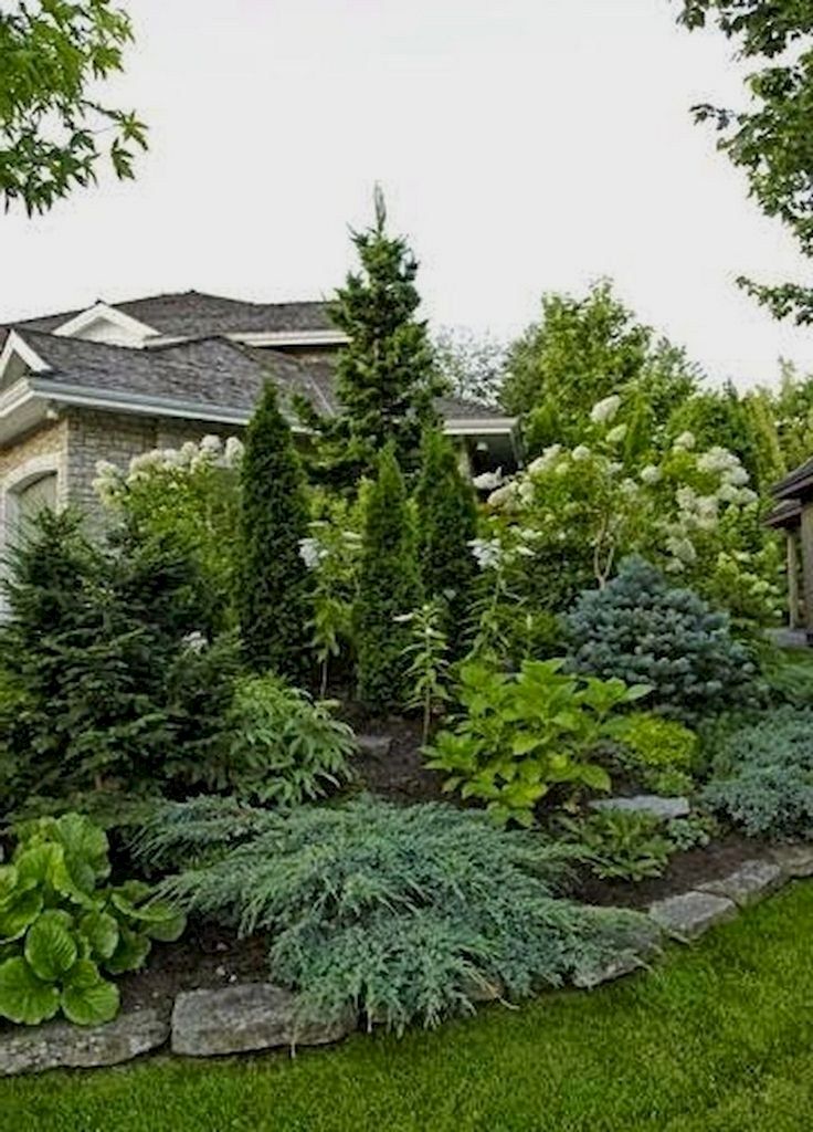 front yard privacy landscaping